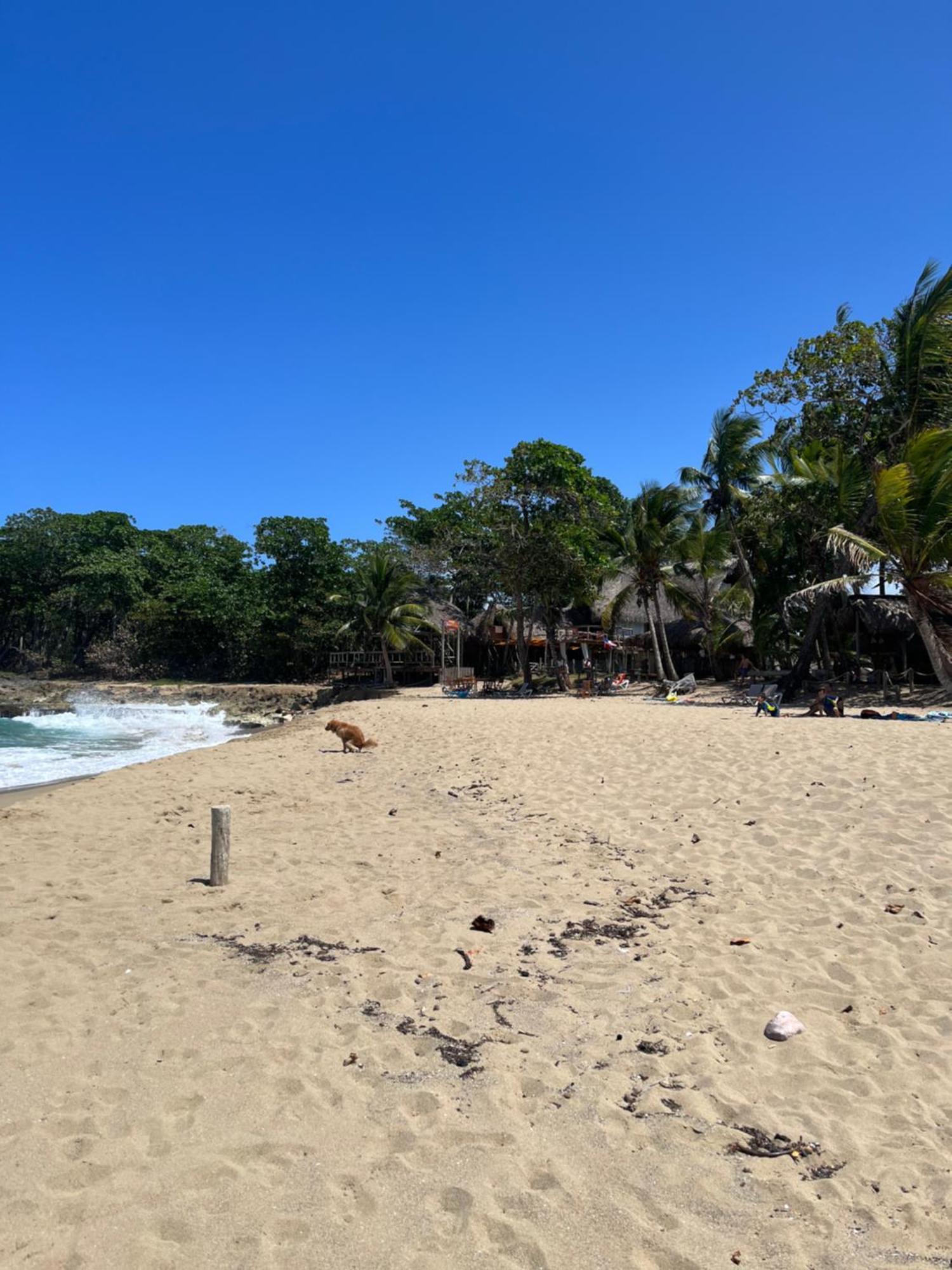 Cabarete Maravilla Eco Lodge Boutique Beach Surf Encuentro, Kite, By Aa Crypto Group Exterior photo