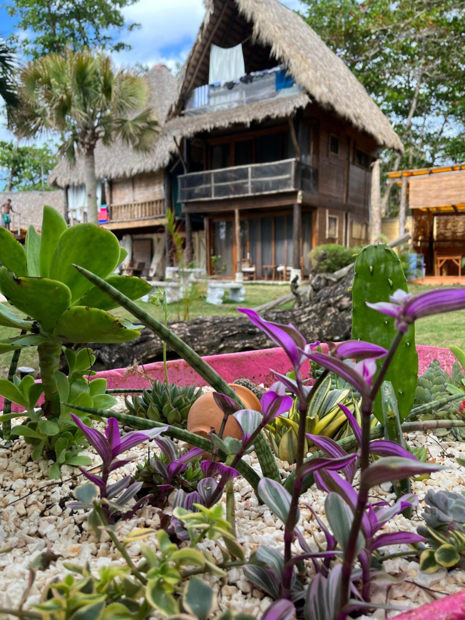 Cabarete Maravilla Eco Lodge Boutique Beach Surf Encuentro, Kite, By Aa Crypto Group Exterior photo