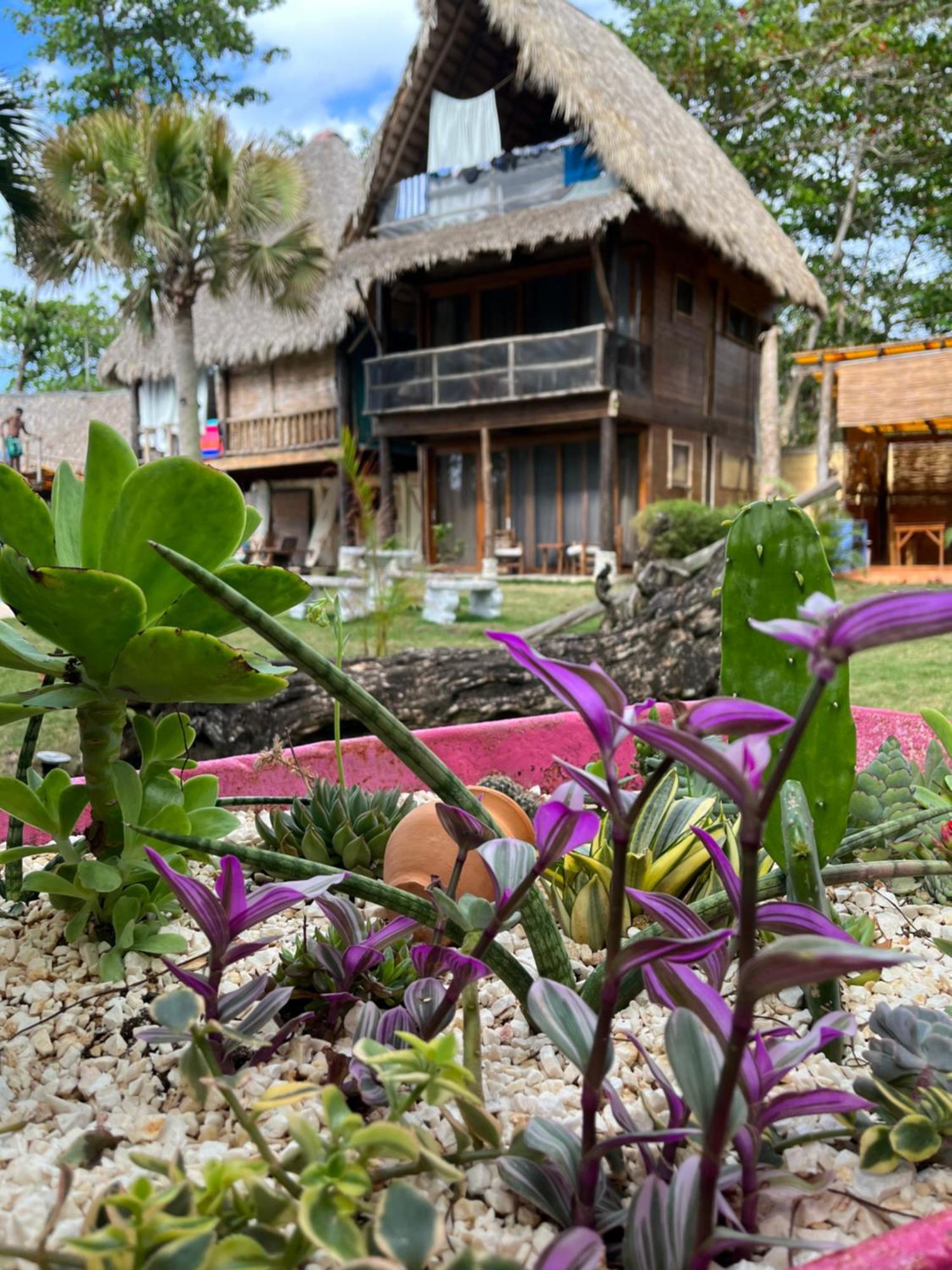 Cabarete Maravilla Eco Lodge Boutique Beach Surf Encuentro, Kite, By Aa Group Exterior photo